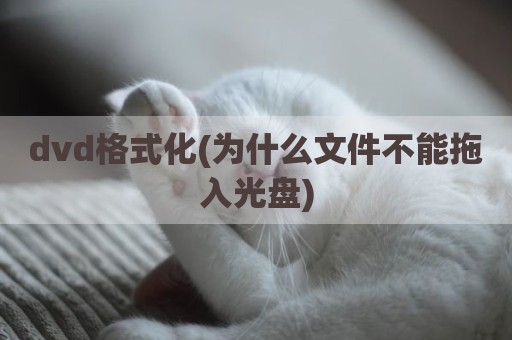 dvd格式化(为什么文件不能拖入光盘)
