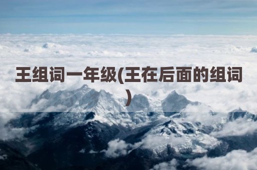 王组词一年级(王在后面的组词)
