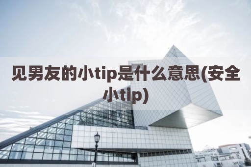 见男友的小tip是什么意思(安全小tip)