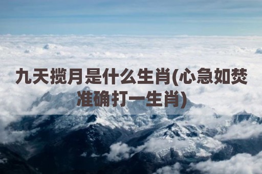 九天揽月是什么生肖(心急如焚准确打一生肖)