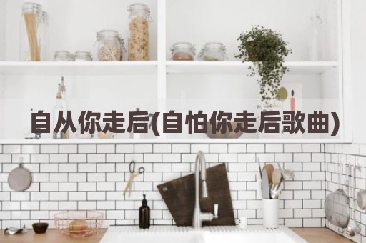 自从你走后(自怕你走后歌曲)