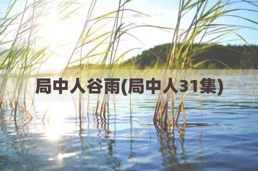 局中人谷雨(局中人31集)