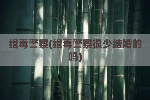 缉毒警察(缉毒警察很少结婚的吗)