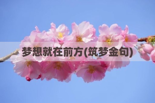 梦想就在前方(筑梦金句)