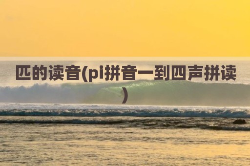 匹的读音(pi拼音一到四声拼读)
