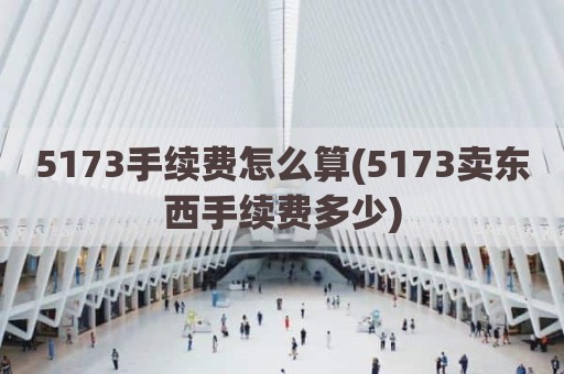 5173手续费怎么算(5173卖东西手续费多少)