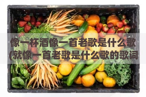 像一杯酒像一首老歌是什么歌(就像一首老歌是什么歌的歌词)