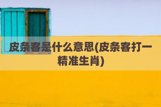 皮条客是什么意思(皮条客打一精准生肖)