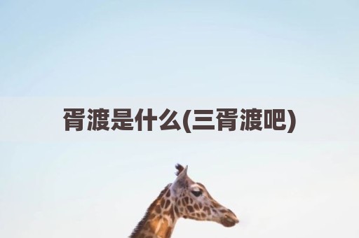 胥渡是什么(三胥渡吧)