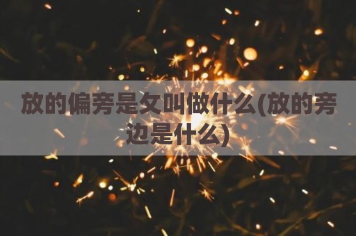放的偏旁是攵叫做什么(放的旁边是什么)