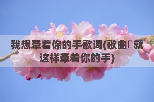 我想牵着你的手歌词(歌曲巜就这样牵着你的手)