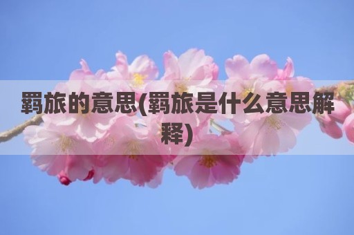 羁旅的意思(羁旅是什么意思解释)