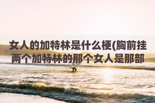女人的加特林是什么梗(胸前挂两个加特林的那个女人是那部电影里的)