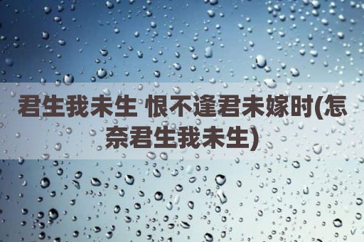 君生我未生 恨不逢君未嫁时(怎奈君生我未生)