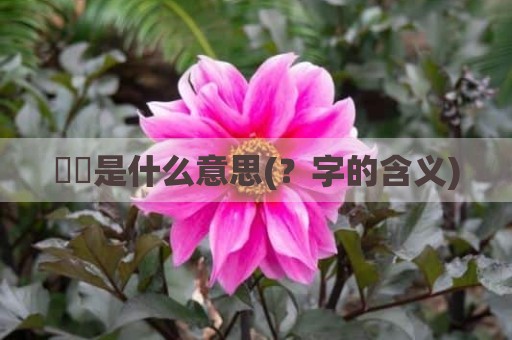 峇峇是什么意思(？字的含义)