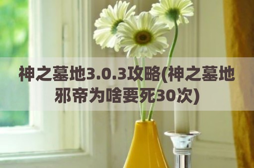 神之墓地3.0.3攻略(神之墓地邪帝为啥要死30次)