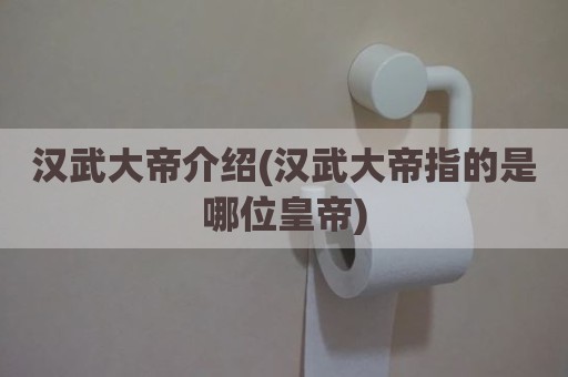 汉武大帝介绍(汉武大帝指的是哪位皇帝)