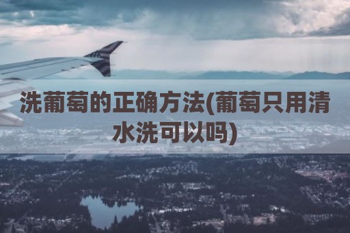 洗葡萄的正确方法(葡萄只用清水洗可以吗)