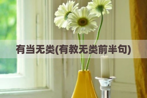 有当无类(有教无类前半句)