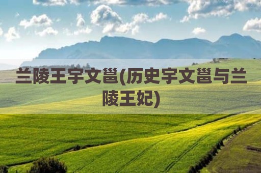 兰陵王宇文邕(历史宇文邕与兰陵王妃)