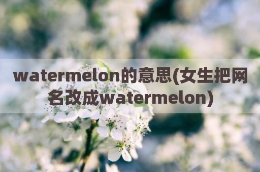 watermelon的意思(女生把网名改成watermelon)