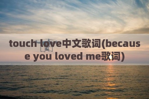 touch love中文歌词(because you loved me歌词)