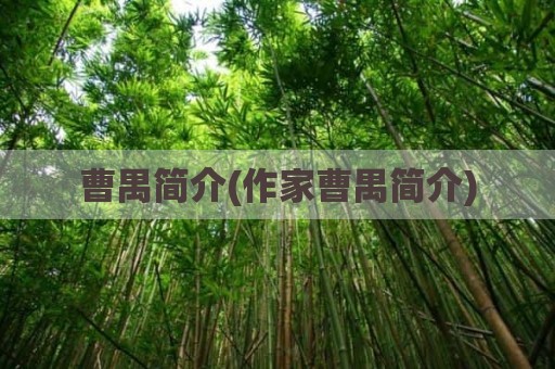 曹禺简介(作家曹禺简介)