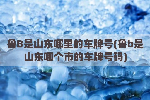 鲁B是山东哪里的车牌号(鲁b是山东哪个市的车牌号码)