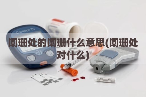 阑珊处的阑珊什么意思(阑珊处对什么)