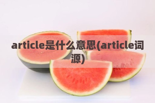 article是什么意思(article词源)