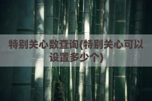 特别关心数查询(特别关心可以设置多少个)