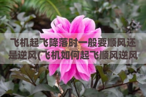 飞机起飞降落时一般要顺风还是逆风(飞机如何起飞顺风逆风)