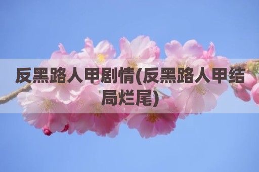 反黑路人甲剧情(反黑路人甲结局烂尾)