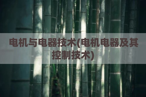 电机与电器技术(电机电器及其控制技术)