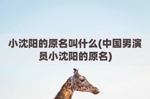小沈阳的原名叫什么(中国男演员小沈阳的原名)