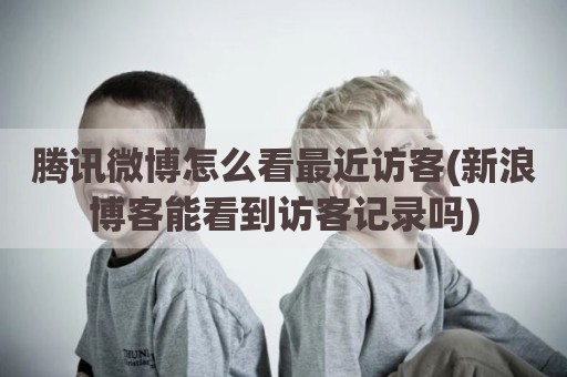 腾讯微博怎么看最近访客(新浪博客能看到访客记录吗)
