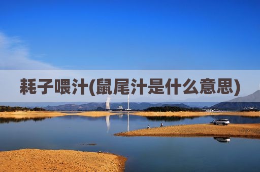 耗子喂汁(鼠尾汁是什么意思)