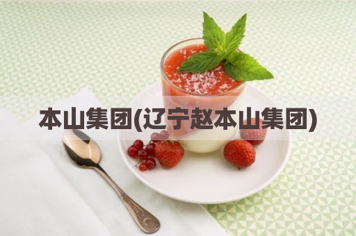 本山集团(辽宁赵本山集团)