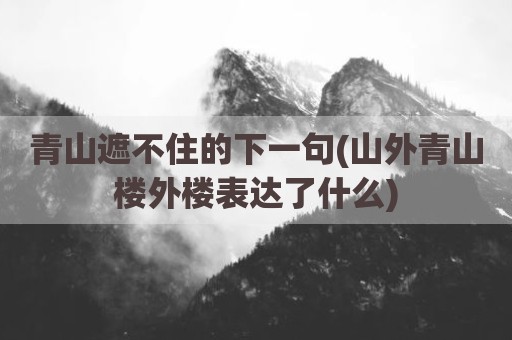 青山遮不住的下一句(山外青山楼外楼表达了什么)
