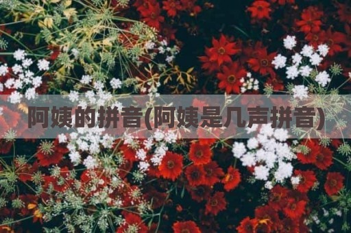 阿姨的拼音(阿姨是几声拼音)