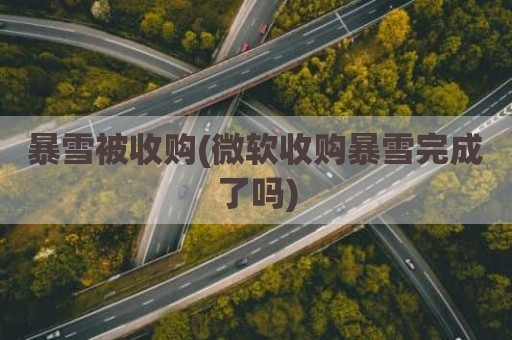 暴雪被收购(微软收购暴雪完成了吗)