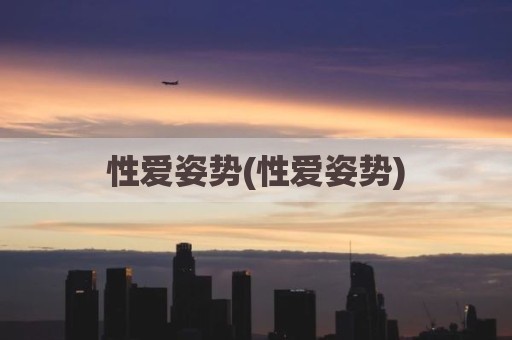 性爱姿势(性爱姿势)