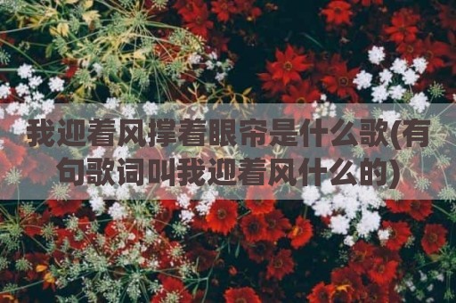 我迎着风撑着眼帘是什么歌(有句歌词叫我迎着风什么的)