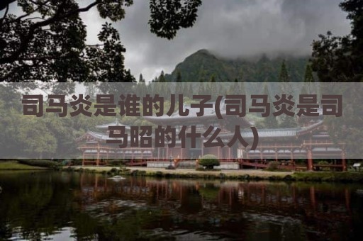 司马炎是谁的儿子(司马炎是司马昭的什么人)