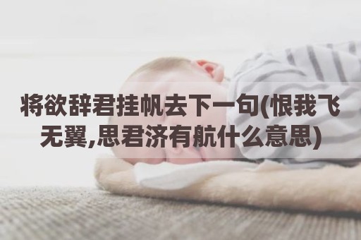 将欲辞君挂帆去下一句(恨我飞无翼,思君济有航什么意思)