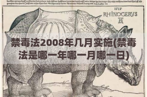 禁毒法2008年几月实施(禁毒法是哪一年哪一月哪一日)