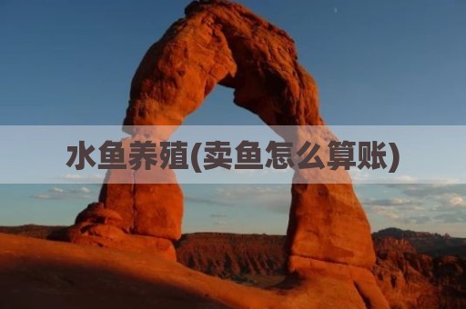 水鱼养殖(卖鱼怎么算账)