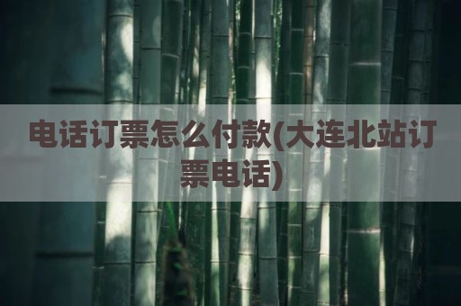 电话订票怎么付款(大连北站订票电话)