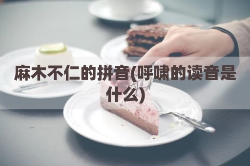 麻木不仁的拼音(呼啸的读音是什么)