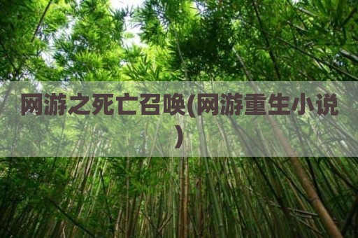 网游之死亡召唤(网游重生小说)